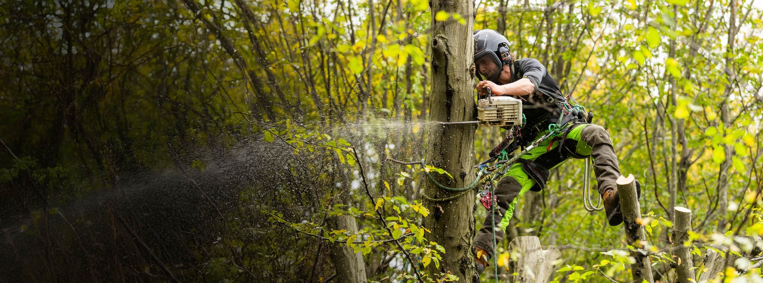 Master the Canopy with Confidence